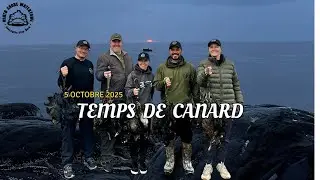 Temps de canards
