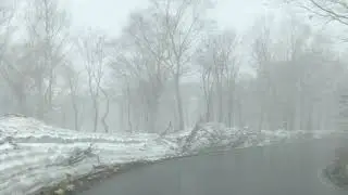 Roger & Brian Eno &ndash; Wintergreen (Official Music Video)