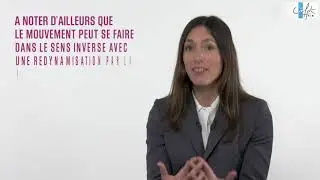 Les avantages de la concession