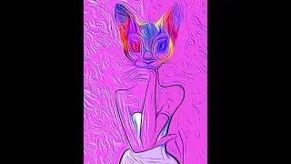 She's the Cat's Meow