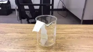 Ink Chromatography: Time-Lapse