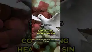 God&rsquo;s Message │ The Holy Spirit's Work Is Profound #shorts  #lifewithapurpose