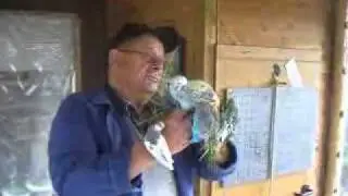 2010 10 22 Ewald aus Veenhusen beim Wellifluesterer.wmv