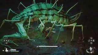 Black Myth Wukong ps5 How To Defeat Centipede Guai boss fight