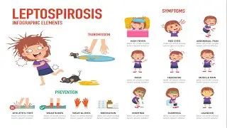 Leptospirosis: A Silent Threat in Water and Wildlife | Spirochetes | Leptospira | Corkscrew