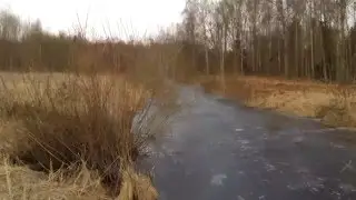 Zemledus kaitēklis (Bebrs). Beaver