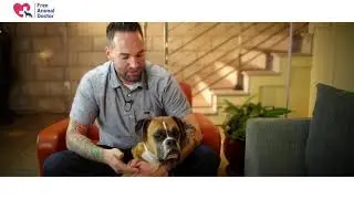 About Free Animal Doctor (FAD)