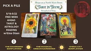 5/16-5/22 Week Ahead Tarot & Astrology w/Gina Olson, Intuitive Reader, Student Astrologer & Owner
