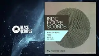 Indie House Sounds - Xfer Serum Presets & Samples