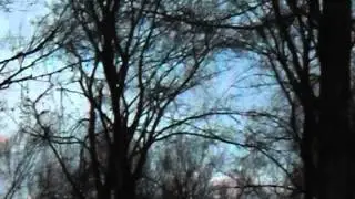 MOV05025