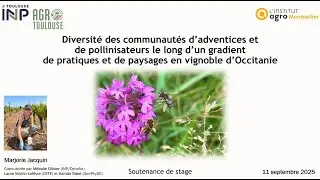 Marjorie Jacquin (stagiaire Dynafor): Diversité fonctionnelle des communautés (...)