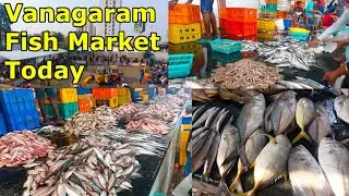 அதிகமான மீன்கள் !!! குறைந்த விலையில் !!! Chennai's Fish Main Supply Market||#rvs 537
