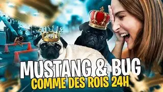 Mustang et Bug comme des rois pendant 24H 🐶
