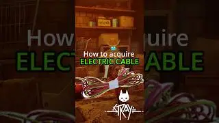 Guide How to get ELECTRIC CABLE | Stray