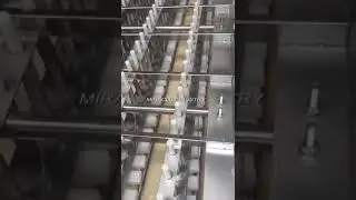 shrimp peeling machine