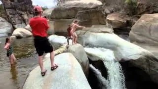 Tadpoles Trailer