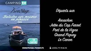 -10&euro; PINASSE FREEBAY