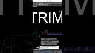 See how to trim in AutoCAD