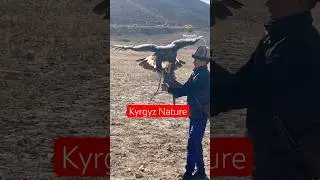 Nature of Kyrgyzstan. Travel with Nomads Life. #worldnomadgames #mountains #kyrgyzstan #travel