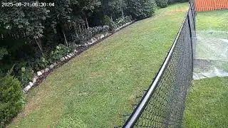 Coyote Aug 21 2025 630am