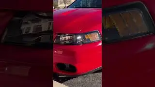 2003 SVT cobra terminator torch red