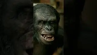 Koba's Rebellion: Ceasar's Answer to Ape Betrayal | Planet of the Apes | Dawn to Kingdom | #apes