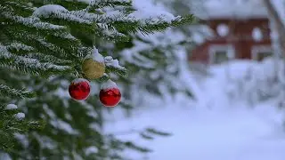 Enchanting Snowfall &bull; 10-Hour Winter Ambience for Tranquil Moments