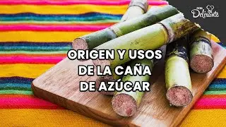 Origen y uso de la caña de azúcar.| Cocina Delirante