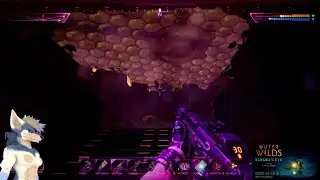 (2025-12-10) dominatrix calls me an insect simulator [6]
