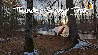 Solo on the Thunder Swamp Trail | Delaware State Forest
