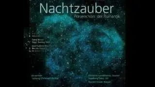 ex-semble: Nachtzauber, Gustav Jenner