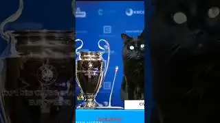 When the Black Cat scores a goal #football #goals #funny #funnyvideo