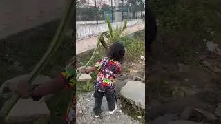 Good baby #funnyclips #viral