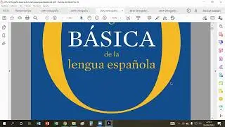 Ortografía de la lengua española, Ortografía básica de la lengua española, Ortografía escolar