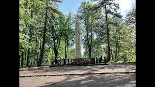 Из Багратионовска в Железнодорожный