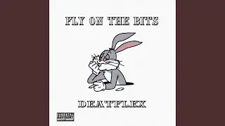 Fly on the bits