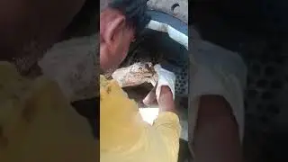 CONDENSER RETUBING WORK 7209726970 8987583673