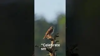 Celebrate Small Wins | ছোট সাফল্যও অনেক বড় 💛#SmallWins #CancerRecovery #HealingProcess#ছোট_সাফল্য