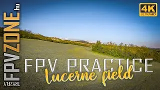 Practice on endless lucerne field | FPVzone.hu | TRY2FLY | 4K