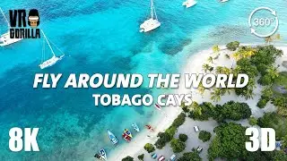 Fly Around the World VR - Tobago Cays (Teaser) a Caribbean Paradise - 8K 360 Video
