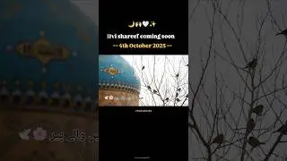 Eid e Gausiya Status New 11 vi Sharif Whatsapp Status Gaus Pak Status Ghous e Azam Status #shorts