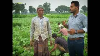 ব্র্যাক জিংক সহ ব্র্যাকের প্রতিটি ফার্টিলাইজার গুণগত মান সম্পর্কে কৃষকের মন্তব্য। 