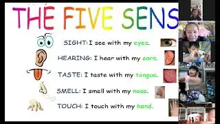ESL Online Class MEP K2 Science, Topic: The Five Senses