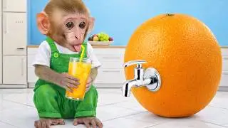 Bim Bim discovers a magical fruit machine and harvests oranges in a unique way