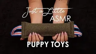 Ep. 16:  Puppy Toys! (ASMR crinkles, scratching, tapping, NO TALKING) - 🎧 Headphones Recommended)
