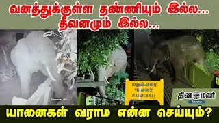 வனத்துக்குள்ள தண்ணியும் இல்ல... தீவனமும் இல்ல... யானைகள் வராம என்ன செய்யும்?