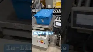 In-line conveyor scale