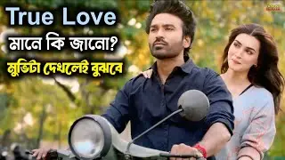 True Love মানে কী জানো? এই মুভিটা দেখলেই বুঝবে 💔 | Tere Ishk Mein Movie Explain Bangla | Love Story