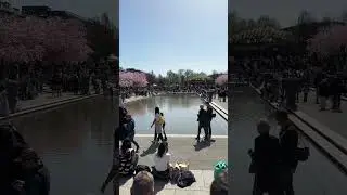 Kungstr&auml;dg&aring;rden T-sentralen