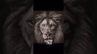 the lion does not ask #shorts #memes #brainrot #surreal